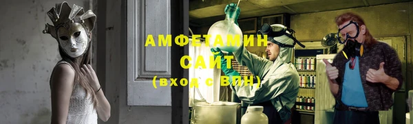 соль ск Алексин
