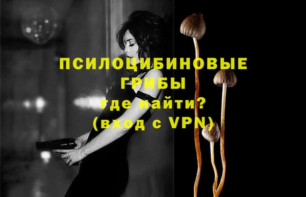 соль ск Алексин