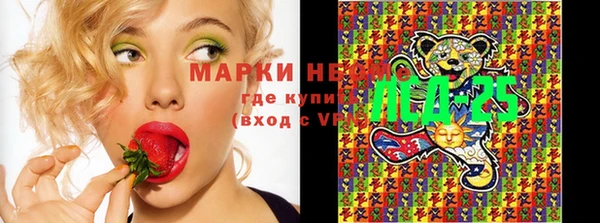 скорость Алзамай