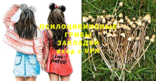 дмт Абдулино