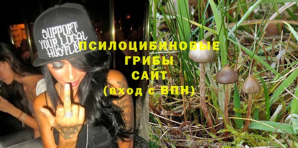 соль ск Алексин