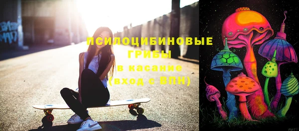 соль ск Алексин