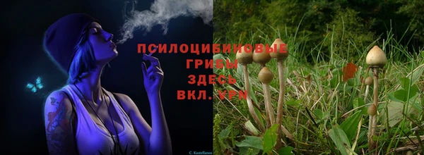 соль ск Алексин