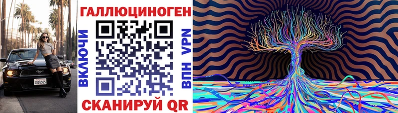 магазин    Кадников  Псилоцибиновые грибы Cubensis 