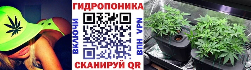 продажа наркотиков  Кадников  Каннабис планчик 